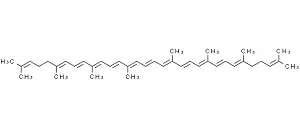 Lycopene Powder2.webp